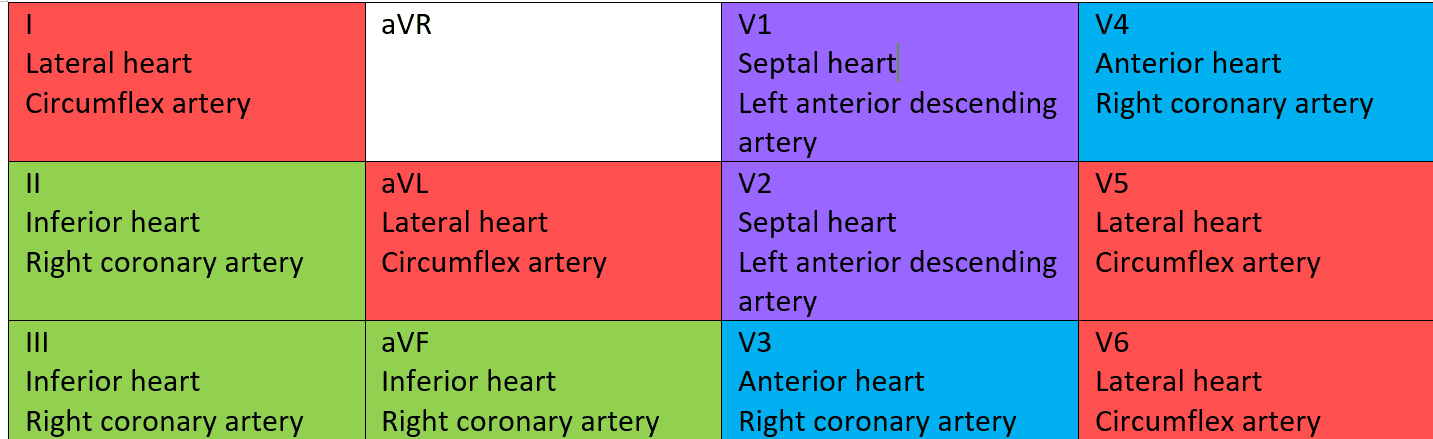 Coronary Arteries and their corresponding lead SimpleMed Coronary Arteries and their corresponding lead SimpleMed
