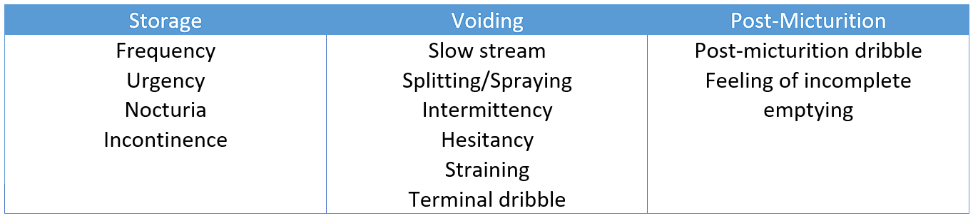 Lower Urinary Tract Symptoms (LUTS) SimpleMed