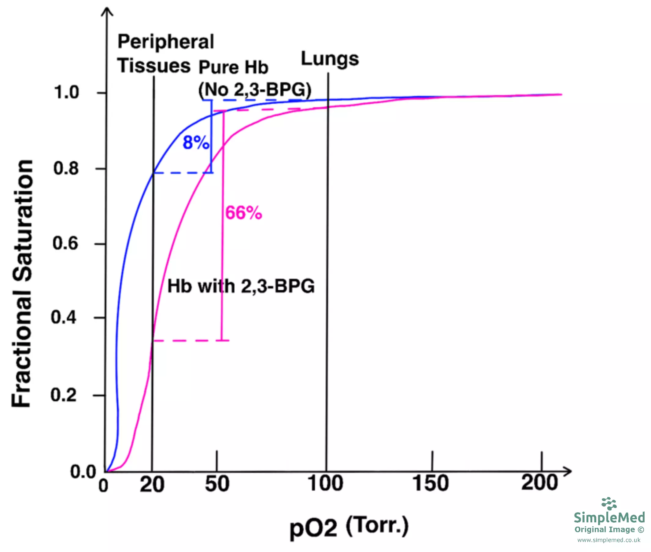 Haemoglobin and 2,3-BPG Oxygen Disassociation Curve SimpleMed Haemoglobin and 2,3-BPG Oxygen Disassociation Curve SimpleMed