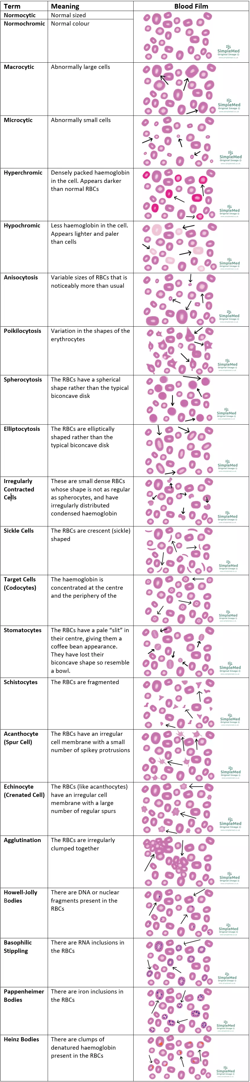 Different Blood Film SimpleMed