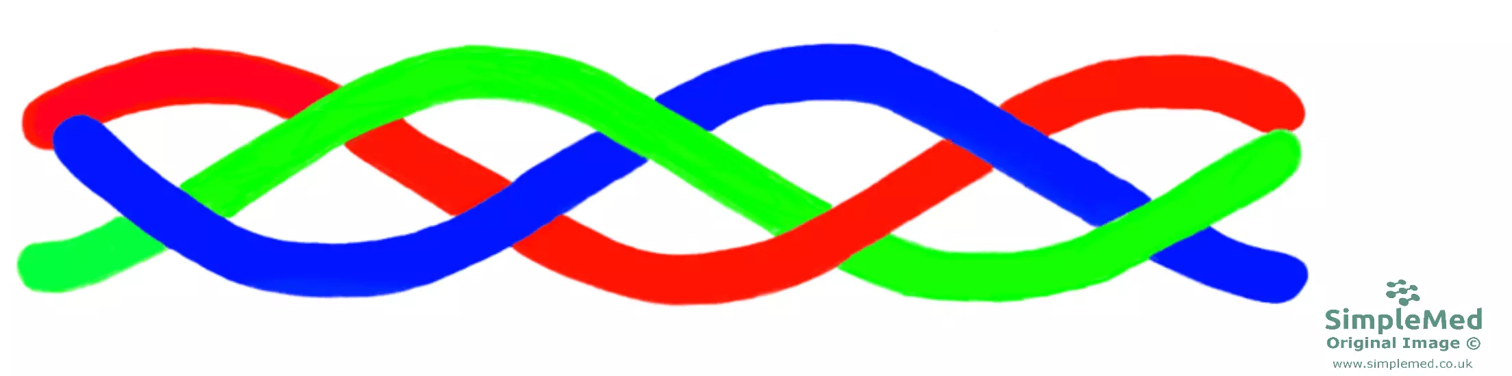 Collagen Triple Helix SimpleMed