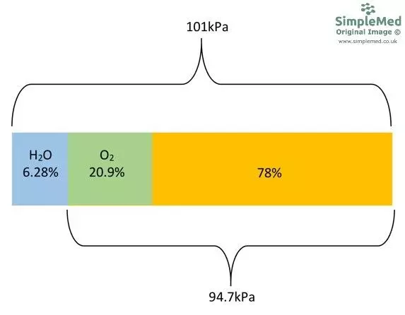 Distribution of the Partial Pressure of Gases and Water SimpleMed Distribution of the Partial Pressure of Gases and Water SimpleMed