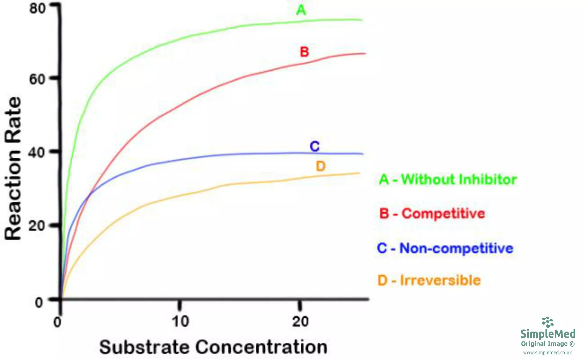 Enzyme Inhibitors Graph SimpleMed Enzyme Inhibitors Graph SimpleMed
