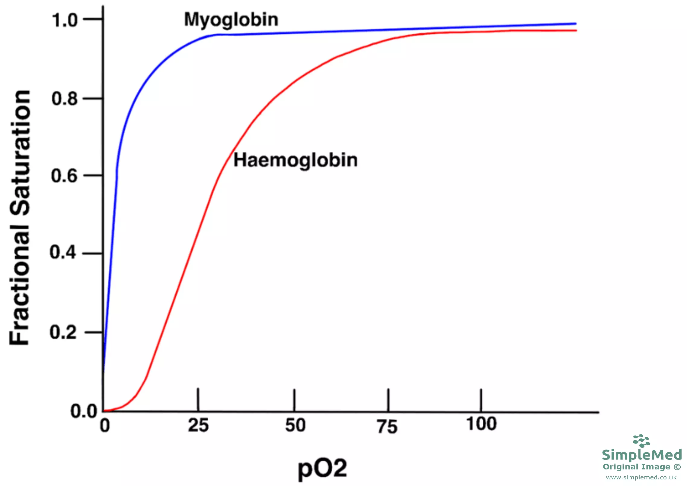 Haemoglobin and Myoglobin Oxygen Disassociation Curve SimpleMed Haemoglobin and Myoglobin Oxygen Disassociation Curve SimpleMed