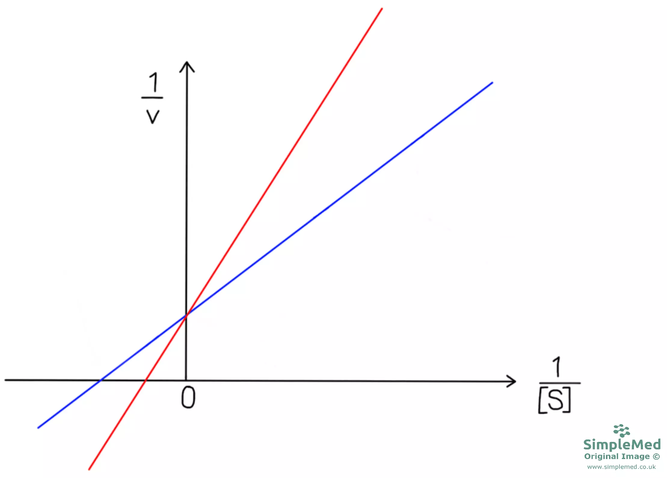 Lineweaver-Burk Plot with a Reversible Competitive Inhibitor SimpleMed Lineweaver-Burk Plot with a Reversible Competitive Inhibitor SimpleMed