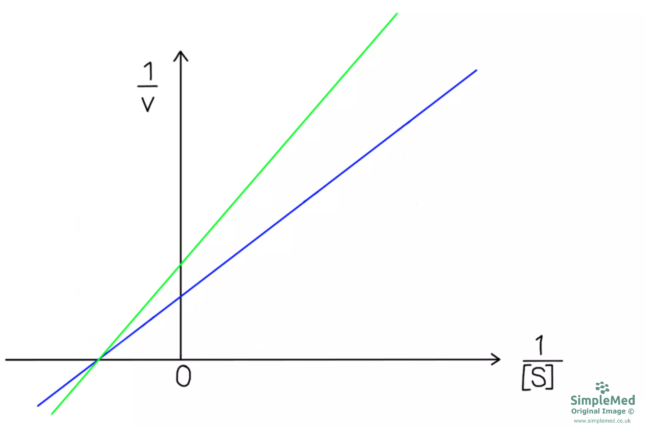 Lineweaver-Burk Plot With Reversible Non-competitive Inhibitor SimpleMed Lineweaver-Burk Plot With Reversible Non-competitive Inhibitor SimpleMed
