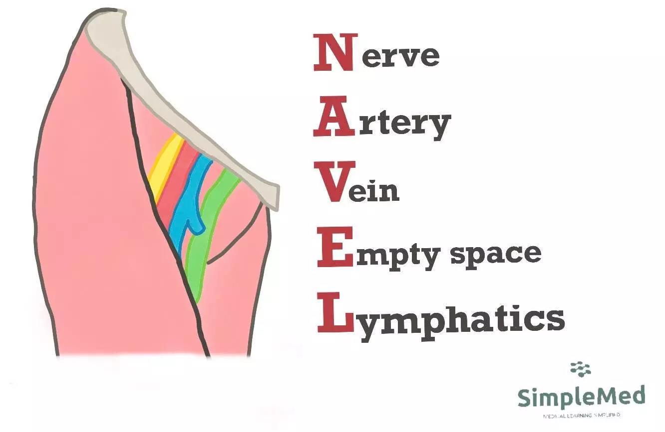NAVEL Mnemonic SimpleMed NAVEL Mnemonic SimpleMed