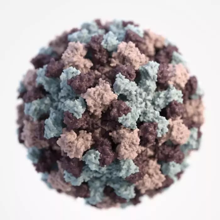 Norovirus Virion SimpleMed