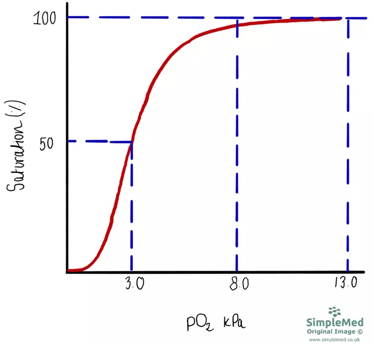 Oxygen Haemoglobin Disassociation Curve SimpleMed Oxygen Haemoglobin Disassociation Curve SimpleMed