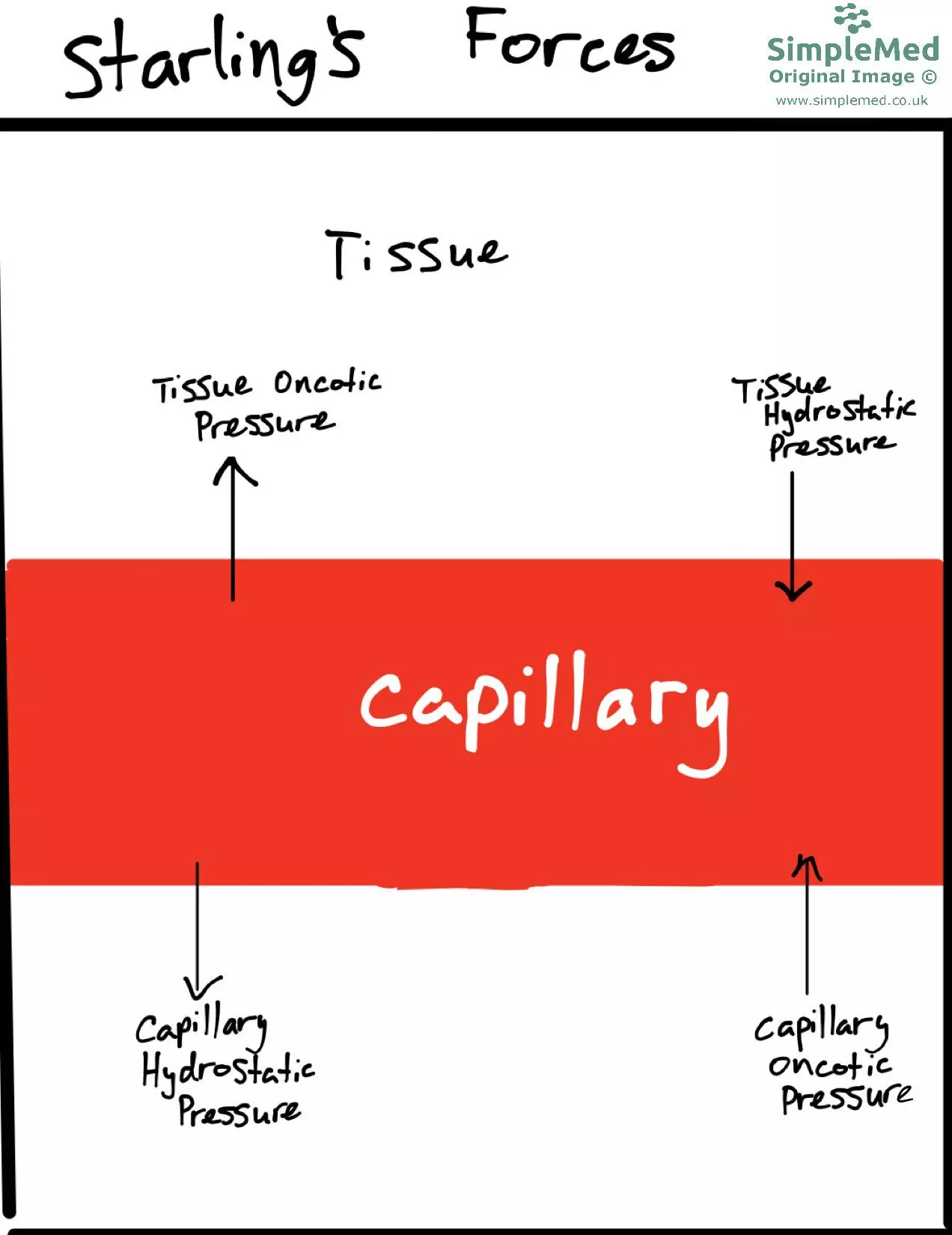Starlings Forces SimpleMed Starlings Forces SimpleMed