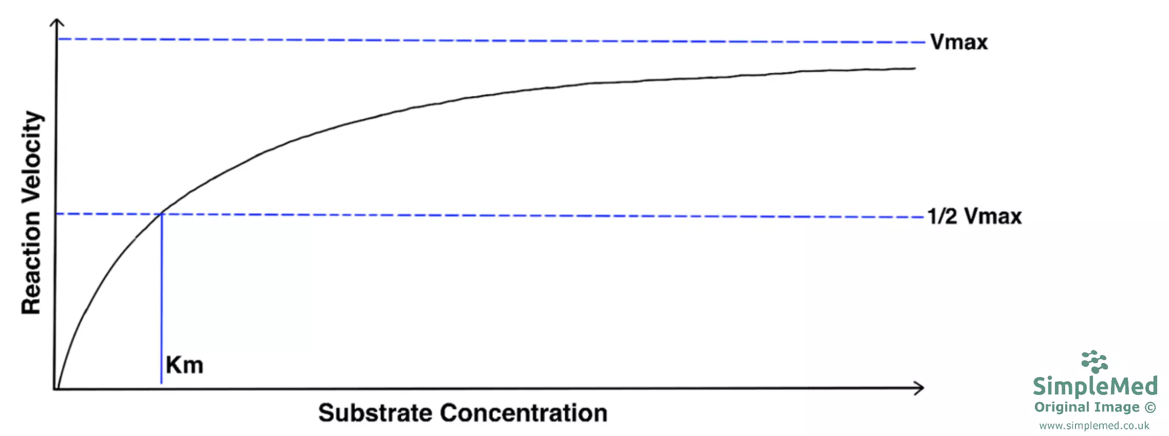Graph of Reaction Velocity Versus Substrate Concentrate SimpleMed Graph of Reaction Velocity Versus Substrate Concentrate SimpleMed