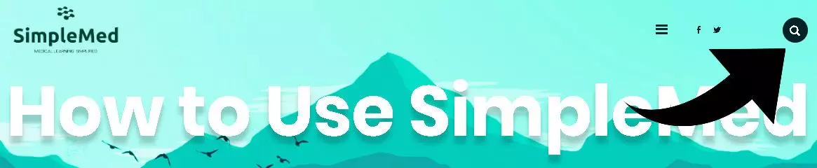 Searching SimpleMed Searching SimpleMed